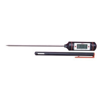 Digital thermometer WT1